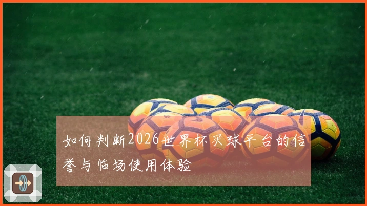 如何判断2026世界杯买球平台的信誉与临场使用体验