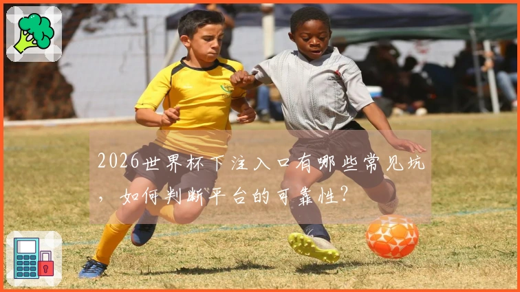 2026世界杯下注入口有哪些常见坑，如何判断平台的可靠性？