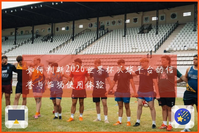 如何判断2026世界杯买球平台的信誉与临场使用体验
